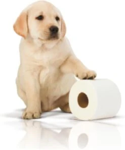 Page Toiletpapier - 32 Rollen - Kussenzacht Wc Papier (3-laags) - Voordeelverpakking 20 Page Toiletpapier - 32 Rollen - Kussenzacht Wc Papier (3-laags) - Voordeelverpakking -Dagelijkse Benodigdheden Winkel 1001x1200 2