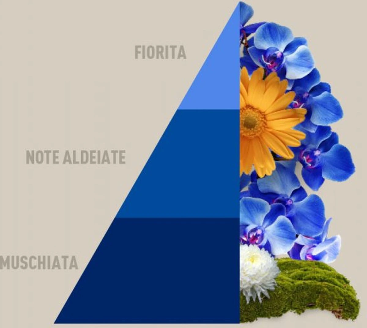 Horomia Wasparfum Blue-Fior-di-Loto - 500ml 2 Horomia Wasparfum Blue-Fior-di-Loto - 500ml - Afbeelding 2