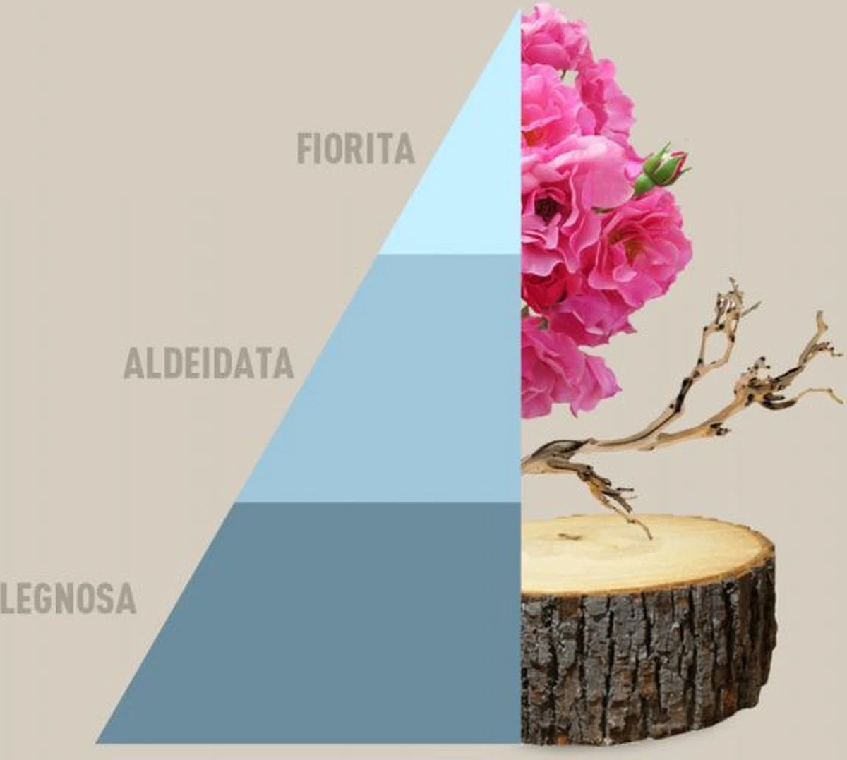 Horomia Wasparfum Fresh Cotton - 250ml 2 Horomia Wasparfum Fresh Cotton - 250ml - Afbeelding 2