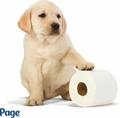 Page Toiletpapier - Eco - Duurzaam - 24 Rollen - Voordeelverpakking -Dagelijkse Benodigdheden Winkel 1200x1186 10