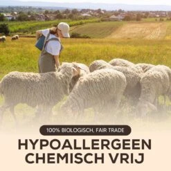 Drogerballen - Droogballen - Wasdrogerballen - Dryerballs - 6 Stuks - XL Formaat - Wol - Set 10 Drogerballen - Droogballen - Wasdrogerballen - Dryerballs - 6 Stuks - XL Formaat - Wol - Set -Dagelijkse Benodigdheden Winkel 1200x1200 1161