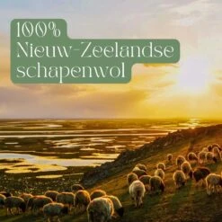 Miki's Goods® XL Wollen Drogerballen 6 Stuks - Panda Wasballen - Duurzaam - Wasbol - 100% Nieuw-Zeelandse Schapenwol - Wasbollen - Herbruikbaar- Droogballen - Snellere Droogtijd - Zuigt Dierenharen Op -Dagelijkse Benodigdheden Winkel 1200x1200 1167