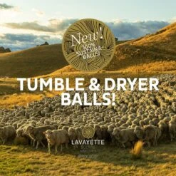 Lavayette XL Drogerballen Met 25ml Wasparfum - WasdrogerBallen – Droogballen – Wasbol – 100% Nieuw-Zeelands Schapenwol – Milieu- En Diervriendelijk – 6 Stuks -Dagelijkse Benodigdheden Winkel 1200x1200 1213