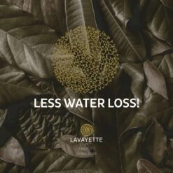 Lavayette XL Drogerballen Met 25ml Wasparfum - WasdrogerBallen – Droogballen – Wasbol – 100% Nieuw-Zeelands Schapenwol – Milieu- En Diervriendelijk – 6 Stuks -Dagelijkse Benodigdheden Winkel 1200x1200 1218