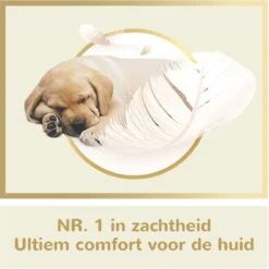 Page Puur Toiletpapier - 24 Rollen - Extra Duurzaam Wc Papier - Voordeelverpakking 11 Page Puur Toiletpapier - 24 Rollen - Extra Duurzaam Wc Papier - Voordeelverpakking -Dagelijkse Benodigdheden Winkel 1200x1200 1847