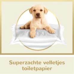 Page Puur Toiletpapier - 24 Rollen - Extra Duurzaam Wc Papier - Voordeelverpakking 13 Page Puur Toiletpapier - 24 Rollen - Extra Duurzaam Wc Papier - Voordeelverpakking -Dagelijkse Benodigdheden Winkel 1200x1200 1848
