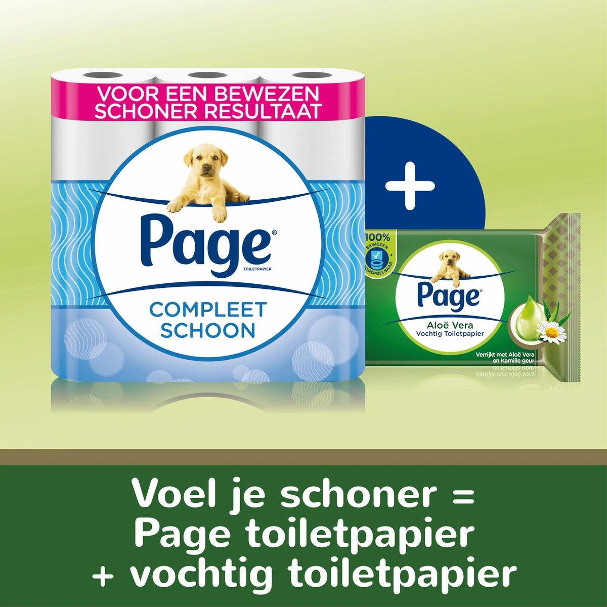 Page Vochtig Toiletpapier - 12 X 38 Stuks - Aloë Vera Vochtig Wc Papier - Voordeelverpakking 3 Page Vochtig Toiletpapier - 12 X 38 Stuks - Aloë Vera Vochtig Wc Papier - Voordeelverpakking - Afbeelding 3