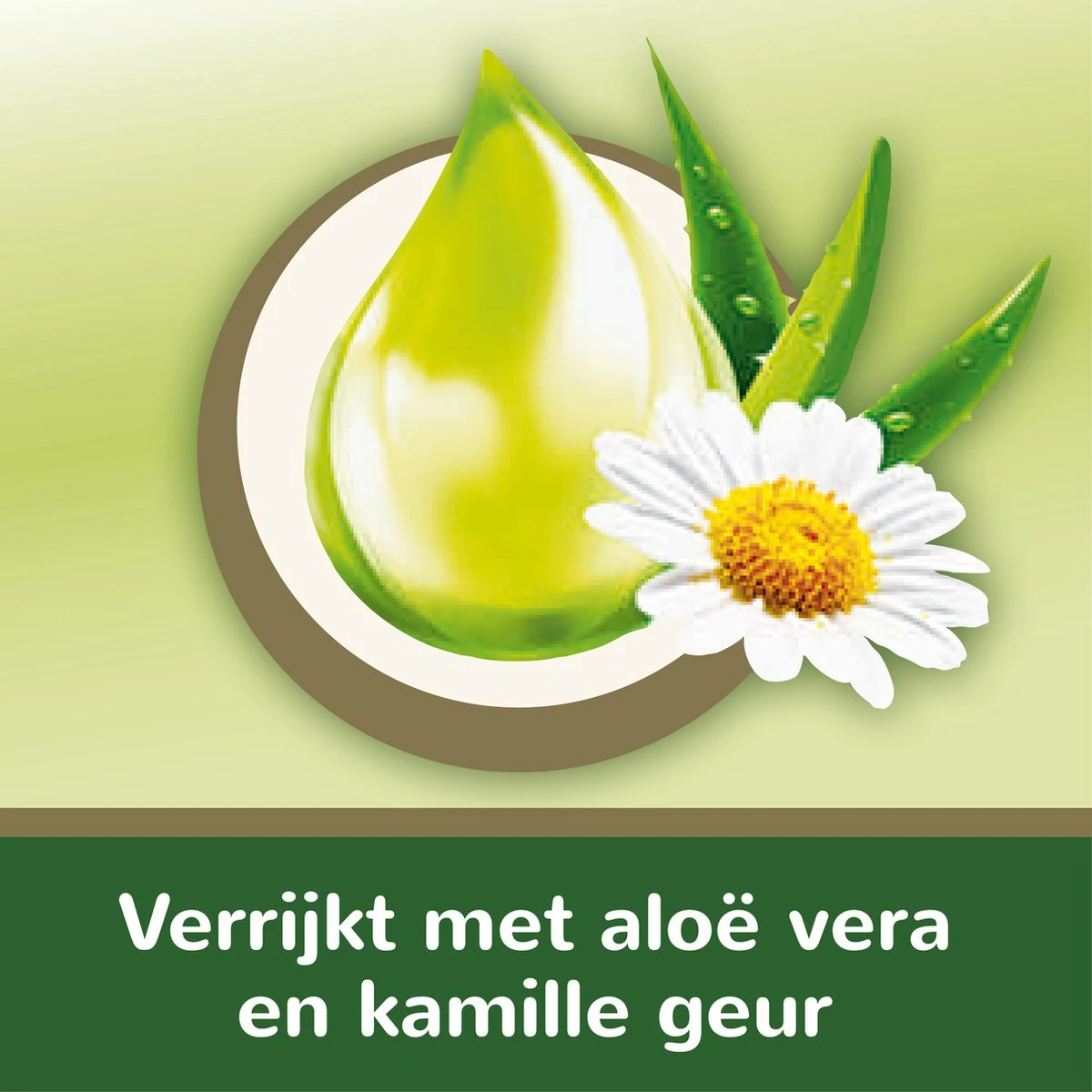 Page Vochtig Toiletpapier - 12 X 38 Stuks - Aloë Vera Vochtig Wc Papier - Voordeelverpakking 9 Page Vochtig Toiletpapier - 12 X 38 Stuks - Aloë Vera Vochtig Wc Papier - Voordeelverpakking - Afbeelding 9