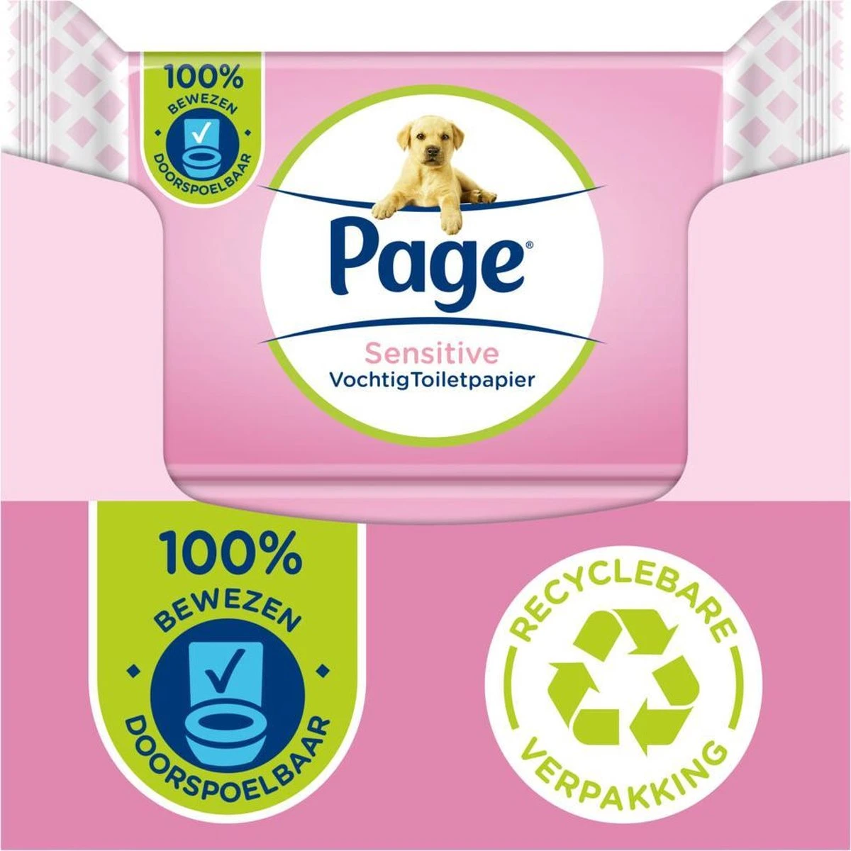 Page Vochtig Toiletpapier - 12 X 38 Stuks - Sensitive Vochtig Wc Papier - Voordeelverpakking