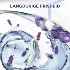 Glorix Power 5 Toiletblokken - Lavendel - 9 Stuks - Voordeelverpakking 13 Glorix Power 5 Toiletblokken - Lavendel - 9 Stuks - Voordeelverpakking -Dagelijkse Benodigdheden Winkel 1200x1200 1940