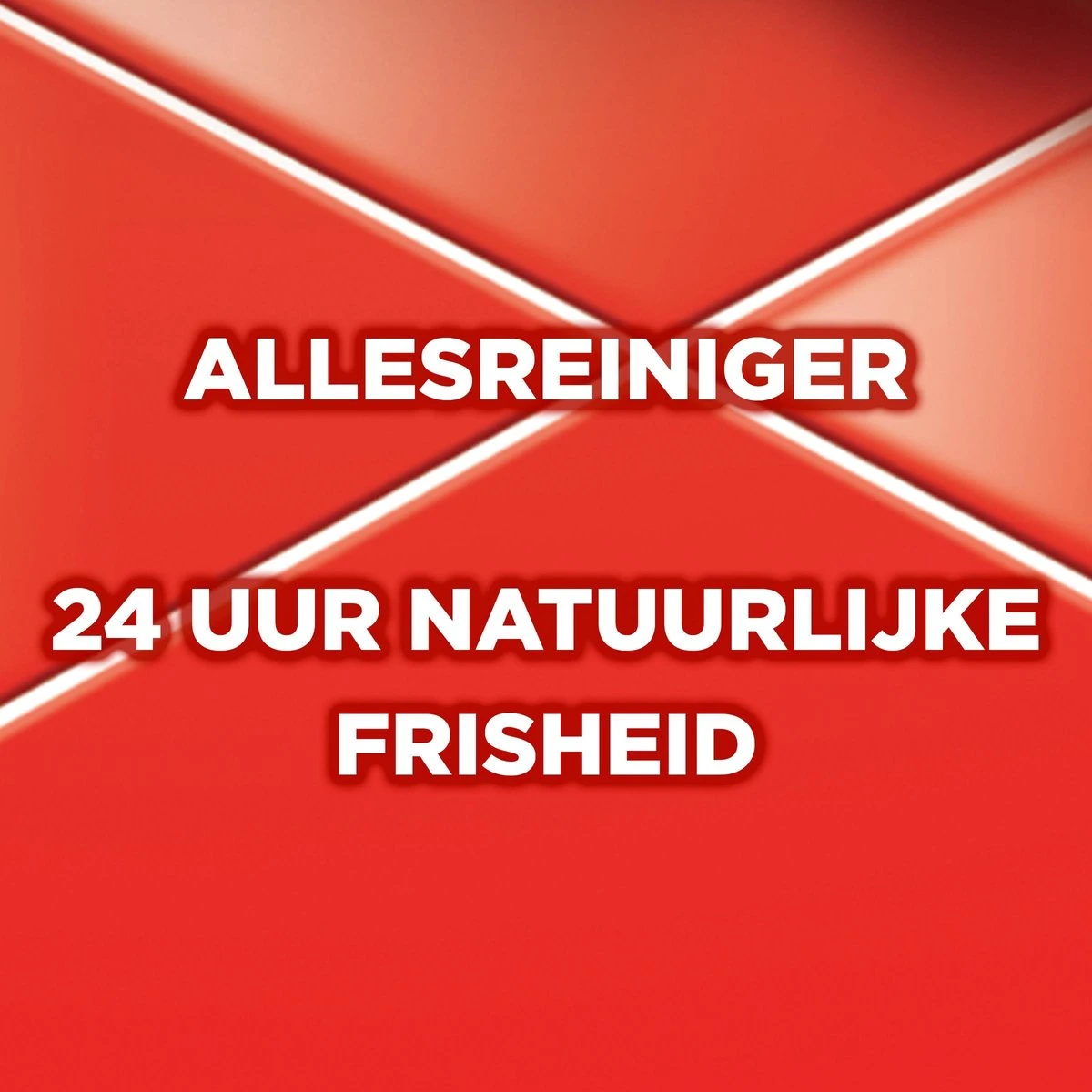 Ajax® Ajax Allesreiniger Fête Des Fleur Rode Bloem 8 X 1L - Voordeelverpakking 3 Ajax® Ajax Allesreiniger Fête Des Fleur Rode Bloem 8 X 1L - Voordeelverpakking - Afbeelding 3