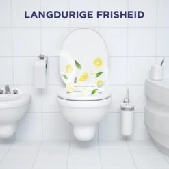 Glorix Power 5 Toiletblokken - Citroen - 9 Stuks - Voordeelverpakking 16 Glorix Power 5 Toiletblokken - Citroen - 9 Stuks - Voordeelverpakking -Dagelijkse Benodigdheden Winkel 1200x1200 2276