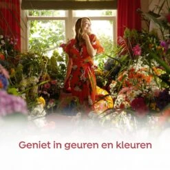 Robijn Klein & Krachtig Color Vloeibaar Wasmiddel - 8 X 19 Wasbeurten - Voordeelverpakking 13 Robijn Klein & Krachtig Color Vloeibaar Wasmiddel - 8 X 19 Wasbeurten - Voordeelverpakking -Dagelijkse Benodigdheden Winkel 1200x1200 31