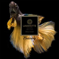 Lavayette Premium Wasparfum - Proefpakket 9x25ml - Geurbooster 16 Lavayette Premium Wasparfum - Proefpakket 9x25ml - Geurbooster -Dagelijkse Benodigdheden Winkel 1200x1200 922
