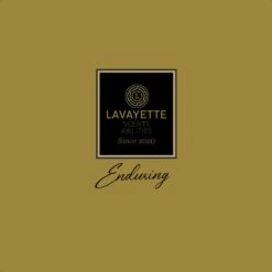 Lavayette Premium Wasparfum - Jasmin Shades - Geurbooster 500ml (Diamante) -Dagelijkse Benodigdheden Winkel 1200x1200 976