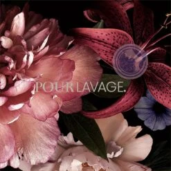 Lavayette - 3in1 - Giftset Met Wasparfum, Drogerballen En Textielverfrisser - Witte Musk -Dagelijkse Benodigdheden Winkel 1200x1200 991