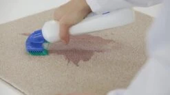 Dr. Beckmann Tapijtvlekkenborstel - Tapijtreiniging - Tapijt Vlekverwijderaar Met Borstel - Schoon Tapijt - Dierenvlekkenverwijderaar 8 Dr. Beckmann Tapijtvlekkenborstel - Tapijtreiniging - Tapijt Vlekverwijderaar Met Borstel - Schoon Tapijt - Dierenvlekkenverwijderaar -Dagelijkse Benodigdheden Winkel 1200x674 1