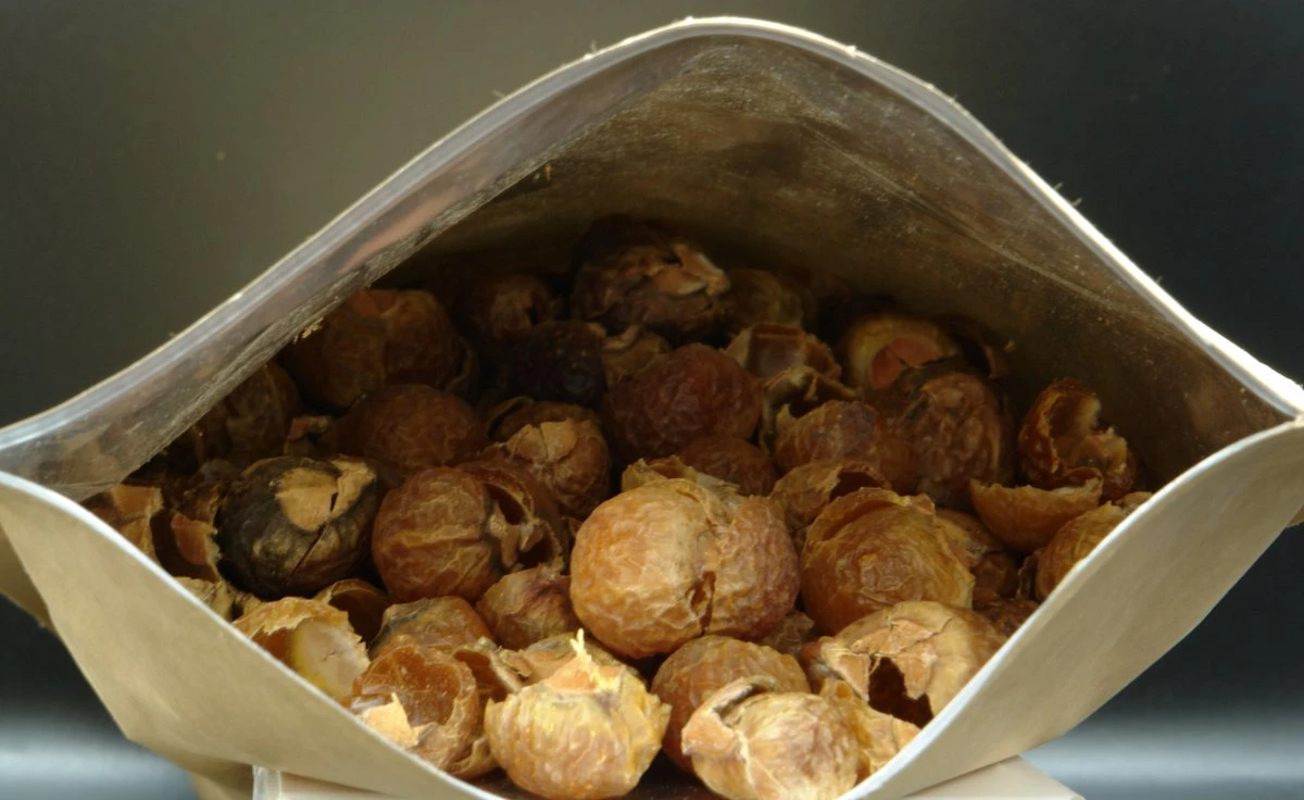 Wasnoten 3kg Met 4 Waszakjes - Zeepnoten - Natuurlijk Wassen - 4x750gr 6 Wasnoten 3kg Met 4 Waszakjes - Zeepnoten - Natuurlijk Wassen - 4x750gr - Afbeelding 6