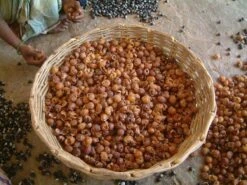 Wasnoten Start 150gr Met Waszakje - Zeepnoten - Natuurlijk Wassen 11 Wasnoten Start 150gr Met Waszakje - Zeepnoten - Natuurlijk Wassen -Dagelijkse Benodigdheden Winkel 1200x900 1