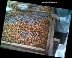 Wasnoten 3kg Met 4 Waszakjes - Zeepnoten - Natuurlijk Wassen - 4x750gr 12 Wasnoten 3kg Met 4 Waszakjes - Zeepnoten - Natuurlijk Wassen - 4x750gr -Dagelijkse Benodigdheden Winkel 1200x973 3