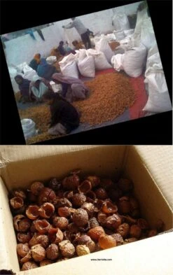 Wasnoten 3kg Met 4 Waszakjes - Zeepnoten - Natuurlijk Wassen - 4x750gr 11 Wasnoten 3kg Met 4 Waszakjes - Zeepnoten - Natuurlijk Wassen - 4x750gr -Dagelijkse Benodigdheden Winkel 755x1200 2