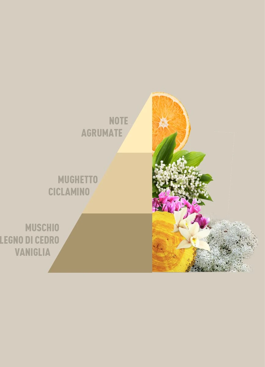 Horomia Wasparfum Gold Argan - 500ml 2 Horomia Wasparfum Gold Argan - 500ml - Afbeelding 2